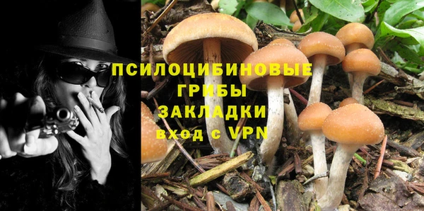 а пвп мука Бронницы