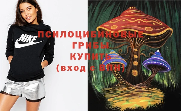 а пвп мука Бронницы