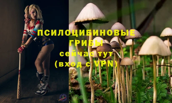 гашишное масло Бородино