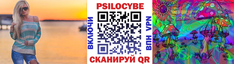 где можно купить   Бронницы  Псилоцибиновые грибы мицелий 