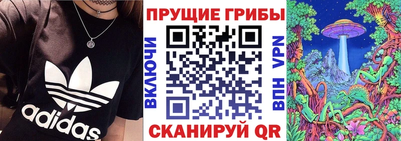 Галлюциногенные грибы мицелий Бронницы